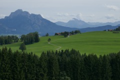 P1030345