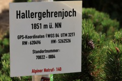 IMG_6998