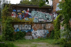 P1040316