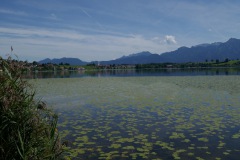 P1040145
