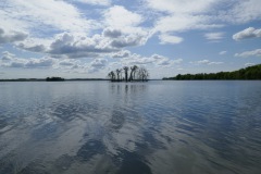 P1030800