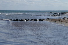 P1030866